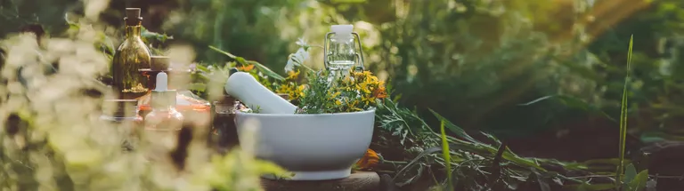 Ein Mörser und Stößel mit frischen Kräutern und gelben Blüten, umgeben von Glasflaschen, inmitten eines üppigen, sonnendurchfluteten Gartens.