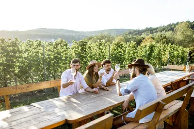 Eine Gruppe von Menschen, die an einem Holztisch in einem sonnigen Weinberg mit Wein anstoßen, umgeben von üppigem Grün und Hügeln im Hintergrund.