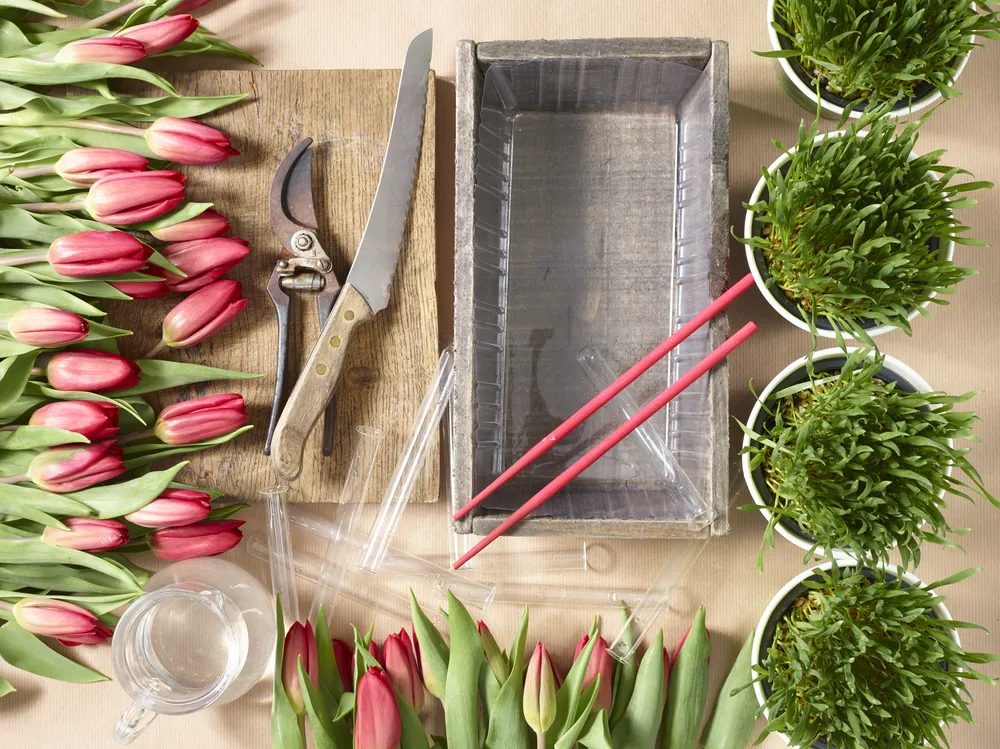 Verschiedene Materialien und frische, rote Tulpen zum Basteln einer Tulpenwiese