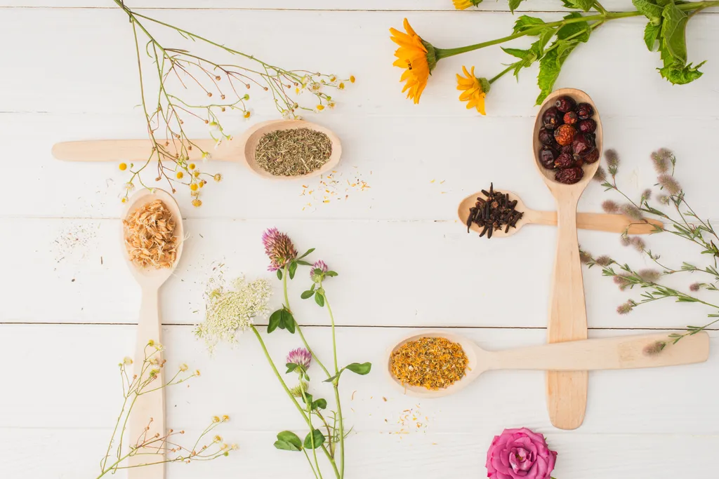 Verschiedene getrocknete Kräuter und Blumen, die auf Holzlöffeln arrangiert sind, mit frischen Blumen, die auf einer weißen Holzfläche verstreut sind.