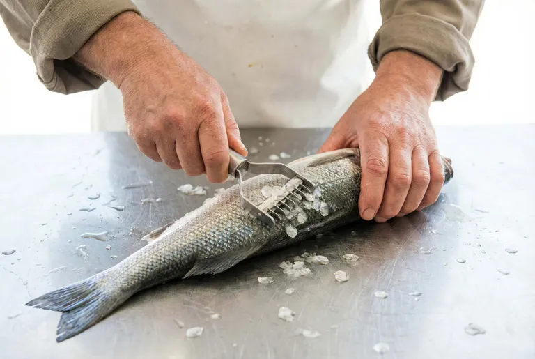 Eine Person, die mit einem Fischentschupper einen Fisch auf einer Metallfläche entschuppt, wobei die Schuppen umherliegen.