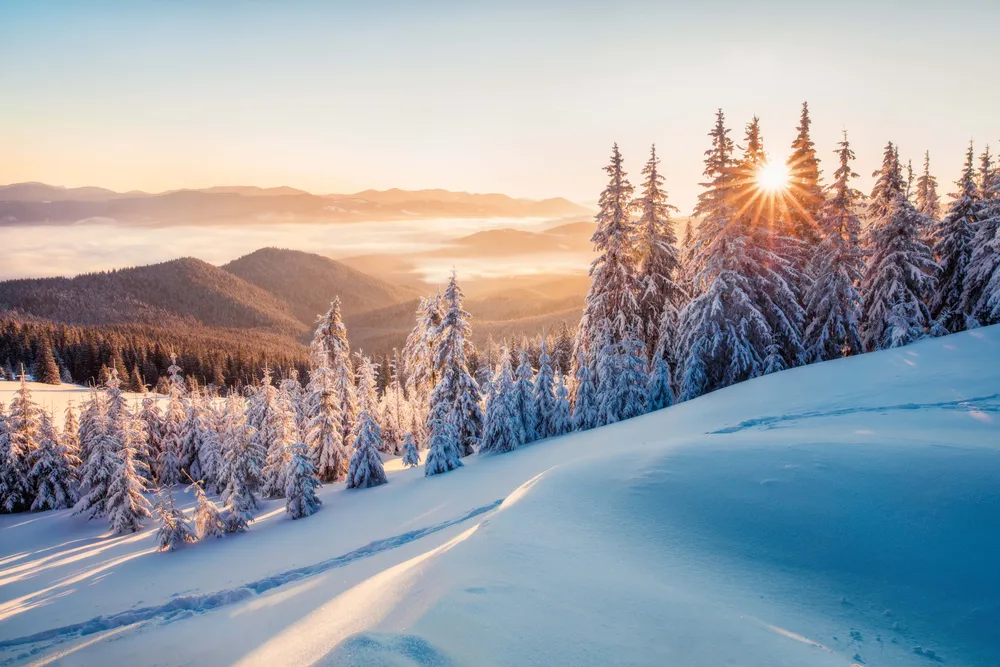Schneebedeckte Bäume und Berge bei Sonnenaufgang, während die Sonne durch den Wald scheint und die Winterlandschaft in ein warmes Licht taucht.