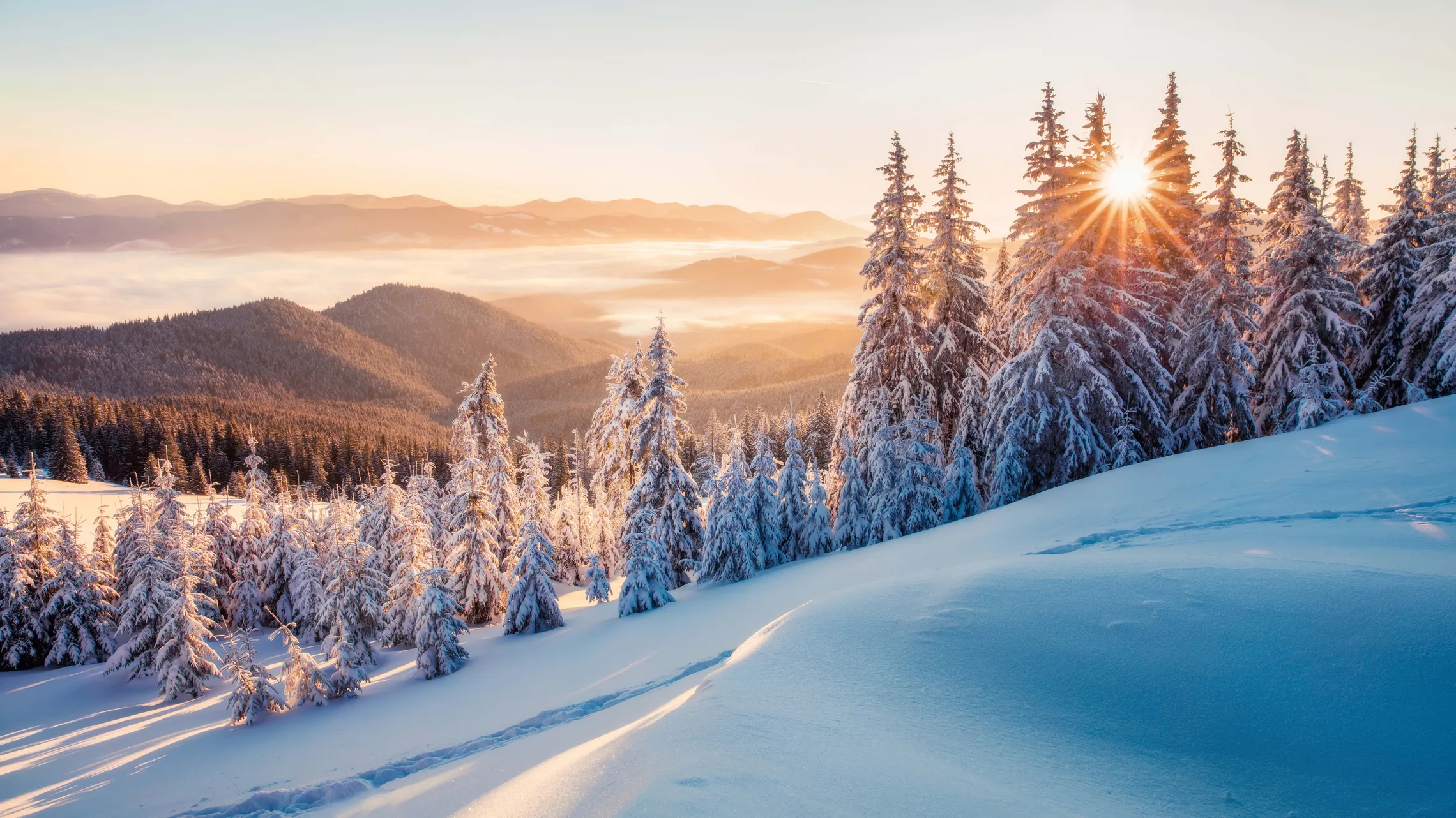 Schneebedeckte Bäume und Berge bei Sonnenaufgang, während die Sonne durch den Wald scheint und die Winterlandschaft in ein warmes Licht taucht.