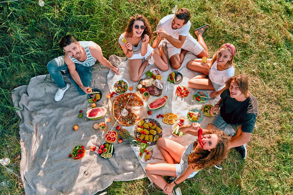 Sechs Personen sitzen auf einer Picknickdecke in der Wiese. Auf der Decke sind Obst, Gemüse, Pizza und Käseplatten angerichtet.