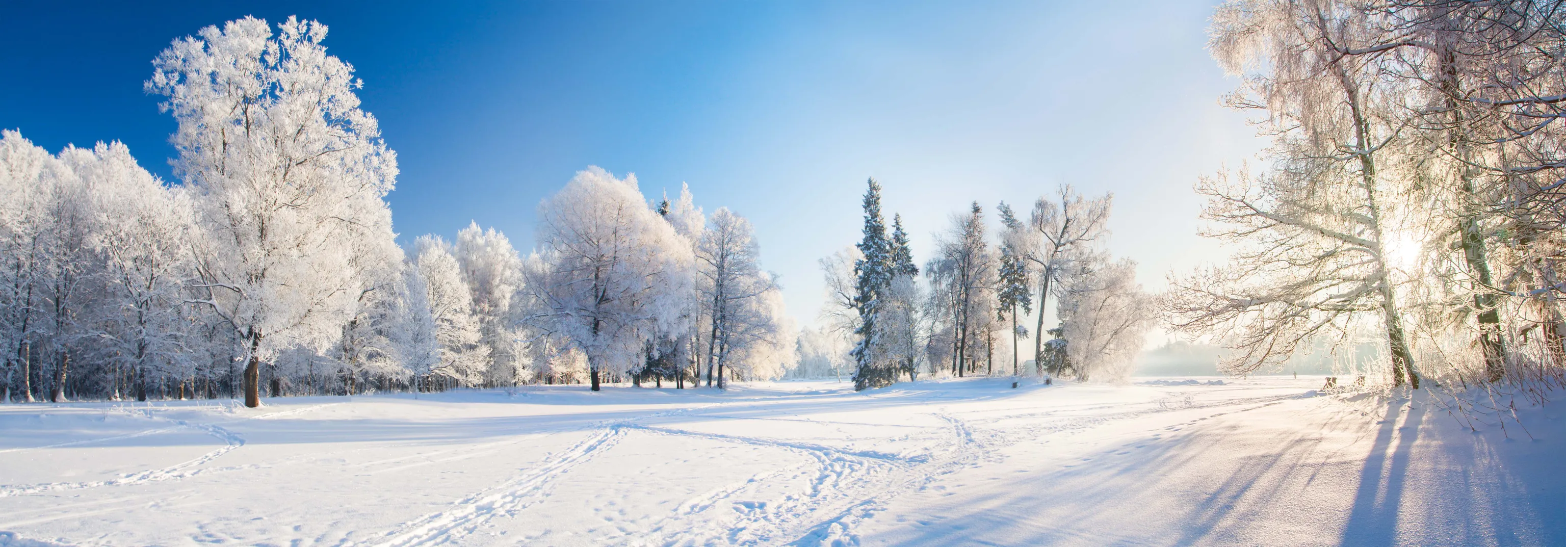 Schneebedeckte Bäume unter strahlend blauem Himmel, während die Sonne lange Schatten auf den Boden wirft. Reifenspuren und Fußabdrücke zeichnen sich im Schnee ab.