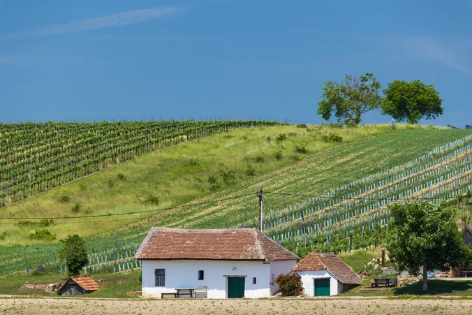 Weinviertel mit Hügeln im Hintergrund und einem alten weißen Haus im Vordergrund