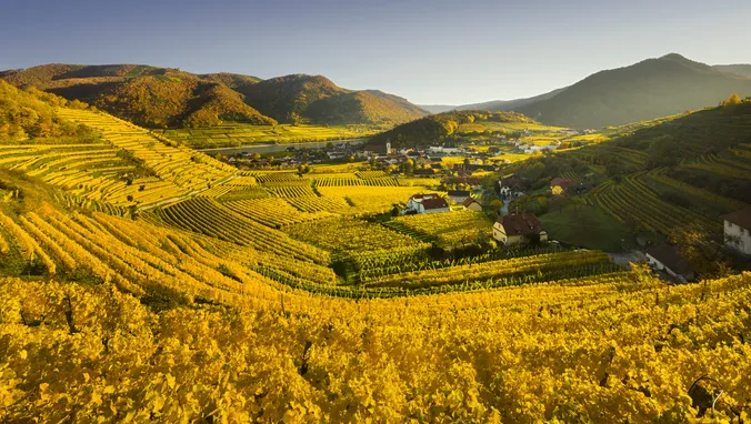 Malerischer Blick auf ein Tal mit Weinbergen im Herbst, goldenem Laub, Hügeln im Hintergrund und einem kleinen Dorf, das sich inmitten der Felder schmiegt.