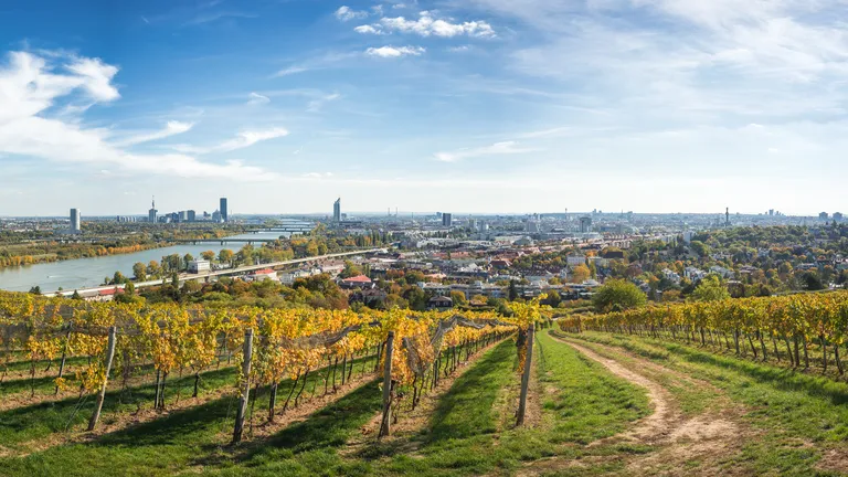 Wein aus Wien