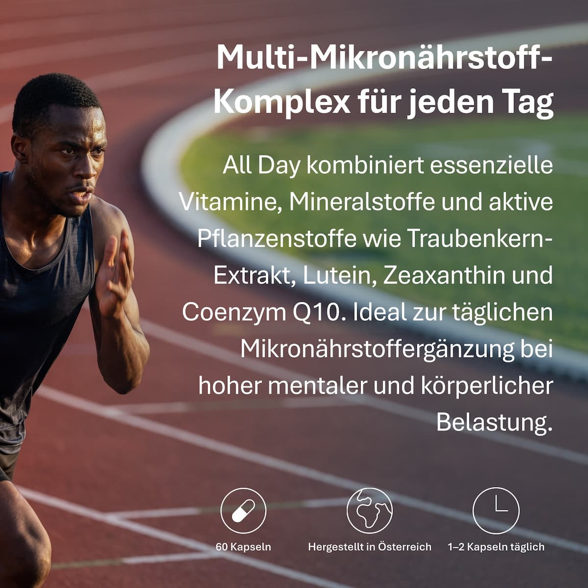 Produktvorschau