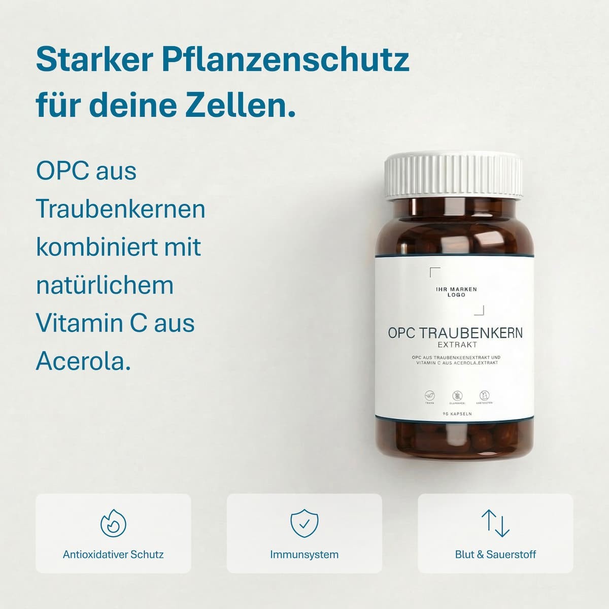 Produktvorschau