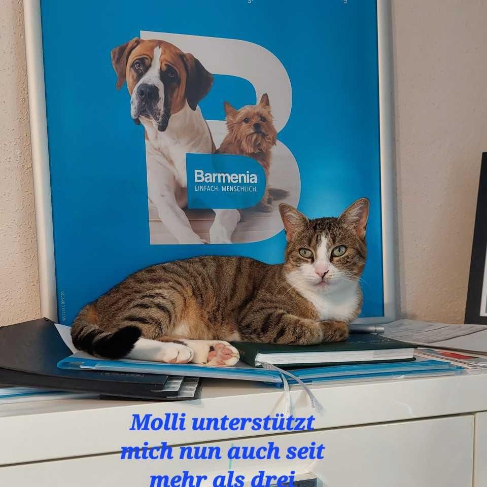 Molli 