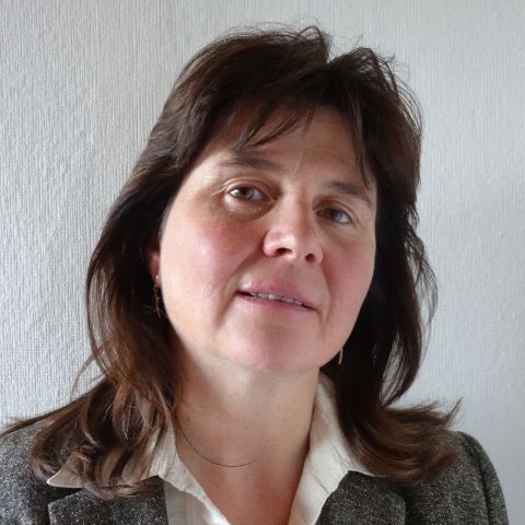 Heike van Reekum