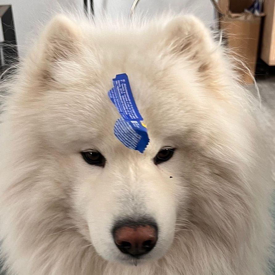 Zeus 