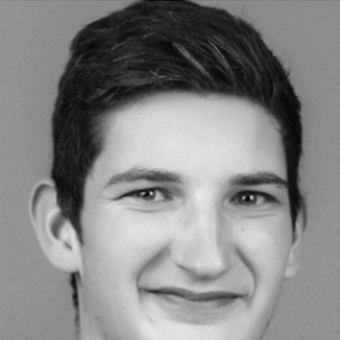 David Krimmer