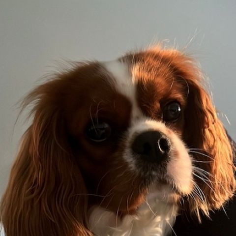 Charlie 