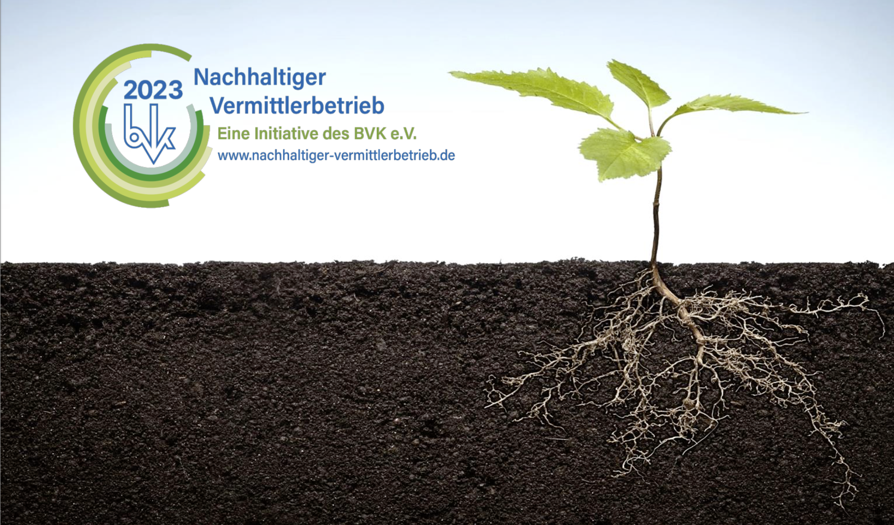 Keimling mit Wurzeln im Erdreich, daneben ein Logo und Text: "Nachhaltiger Vermittlerbetrieb 2023, Eine Initiative des BVK e.V.".