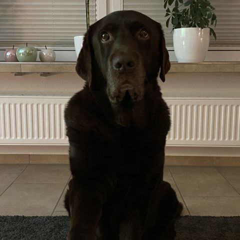 Winnie 