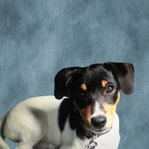 Madox 