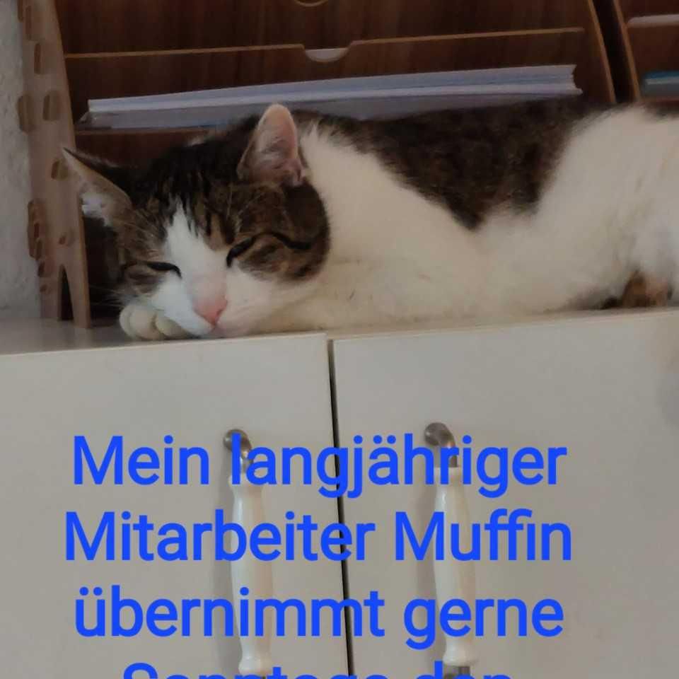 Muffin 