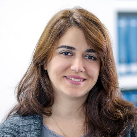 Eleni Triantafillidou