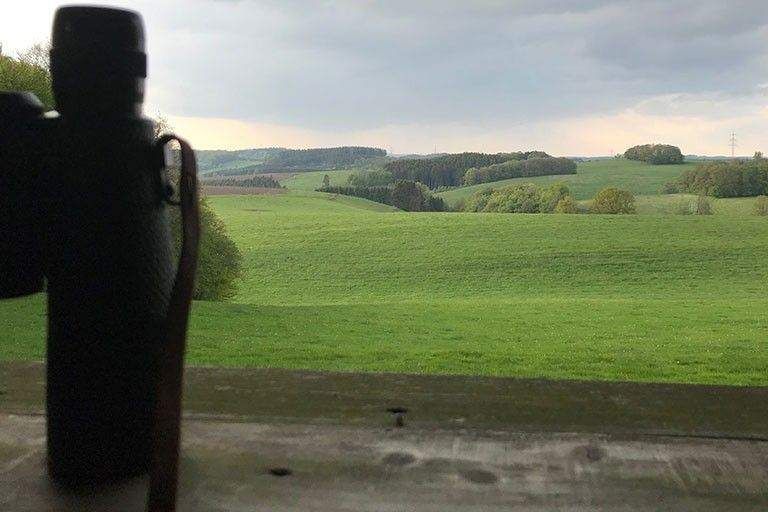 Fernglas auf hölzernem Geländer mit weitem Blick über grüne Hügel und Bäume unter bewölktem Himmel.