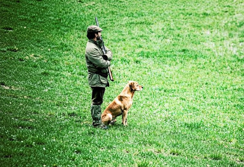 Ein Jäger mit Gewehr und Hund steht auf einer grünen Wiese und schaut in die Ferne.