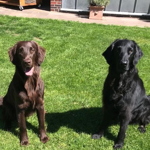 Lilly und Paula