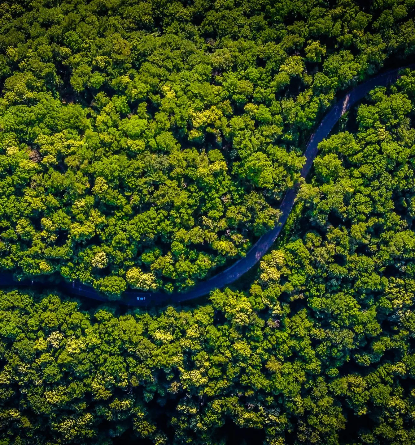 vlad-hilitanu-pt7QzB4ZLWw-unsplash-scaled