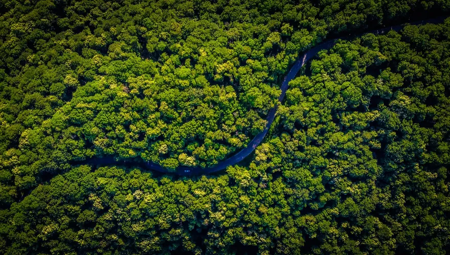 Celebrating World Environment Day