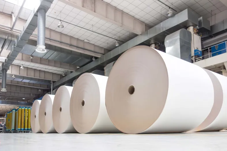 Paper Capim