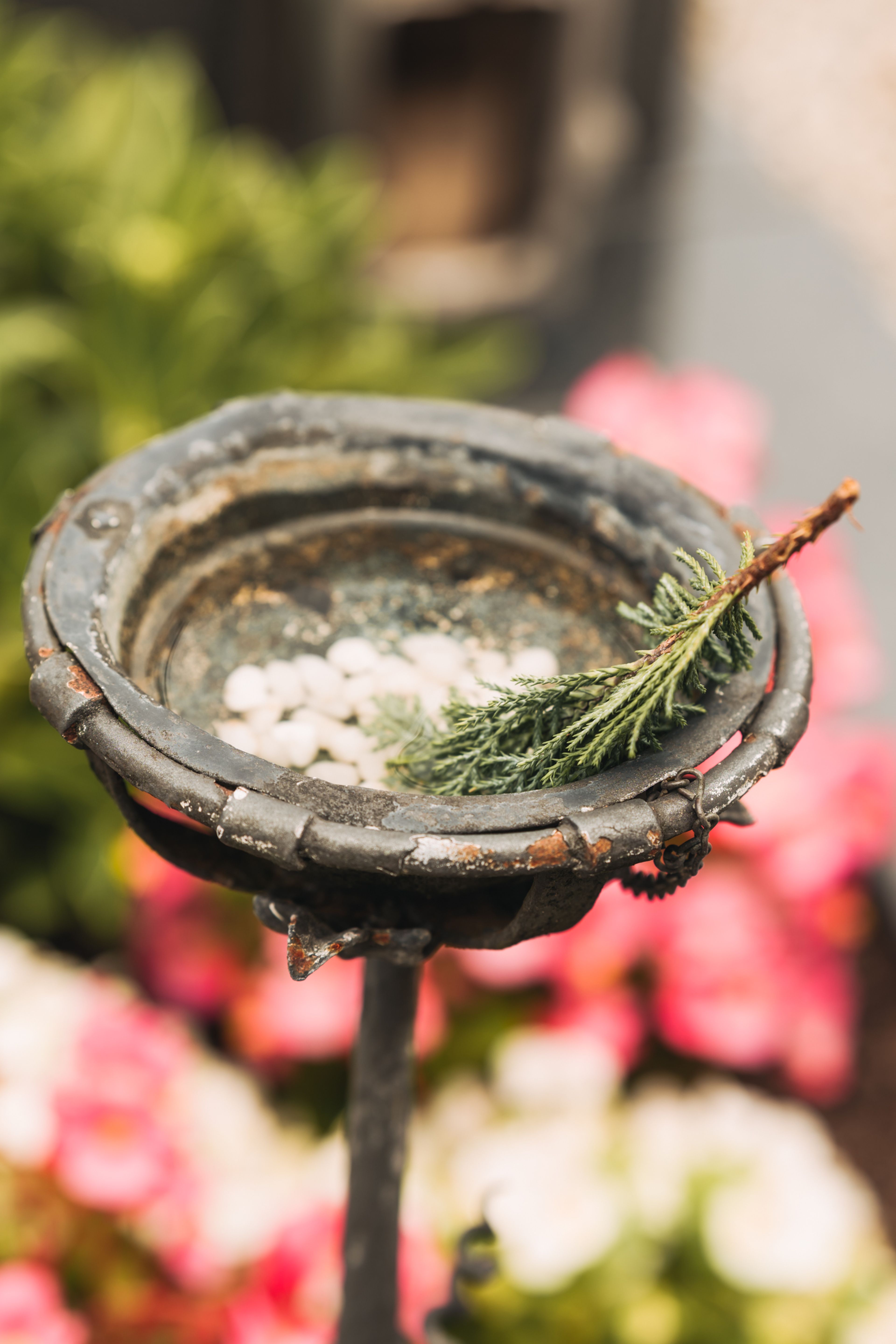 Ein rustikales Weihwasserkessel mit einem feuchten immergrünen Zweig und weißen Kieselsteinen vor dem Hintergrund verschwommener rosa Blüten und grüner Blätter.