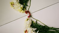 ABOJ ADEJ Spring/Summer 25 campaign shots - ABOJ-ADEJ_SS25_ABOUT-YOU_Campaign_31
