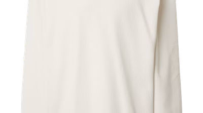 TRAPP Spring/Summer 24 pack shots - Kevin-Trapp-co-created-by-ABOUT-YOU_Pack-Shots_GOTS-Lion-Sweatshirt_offwhite_5490