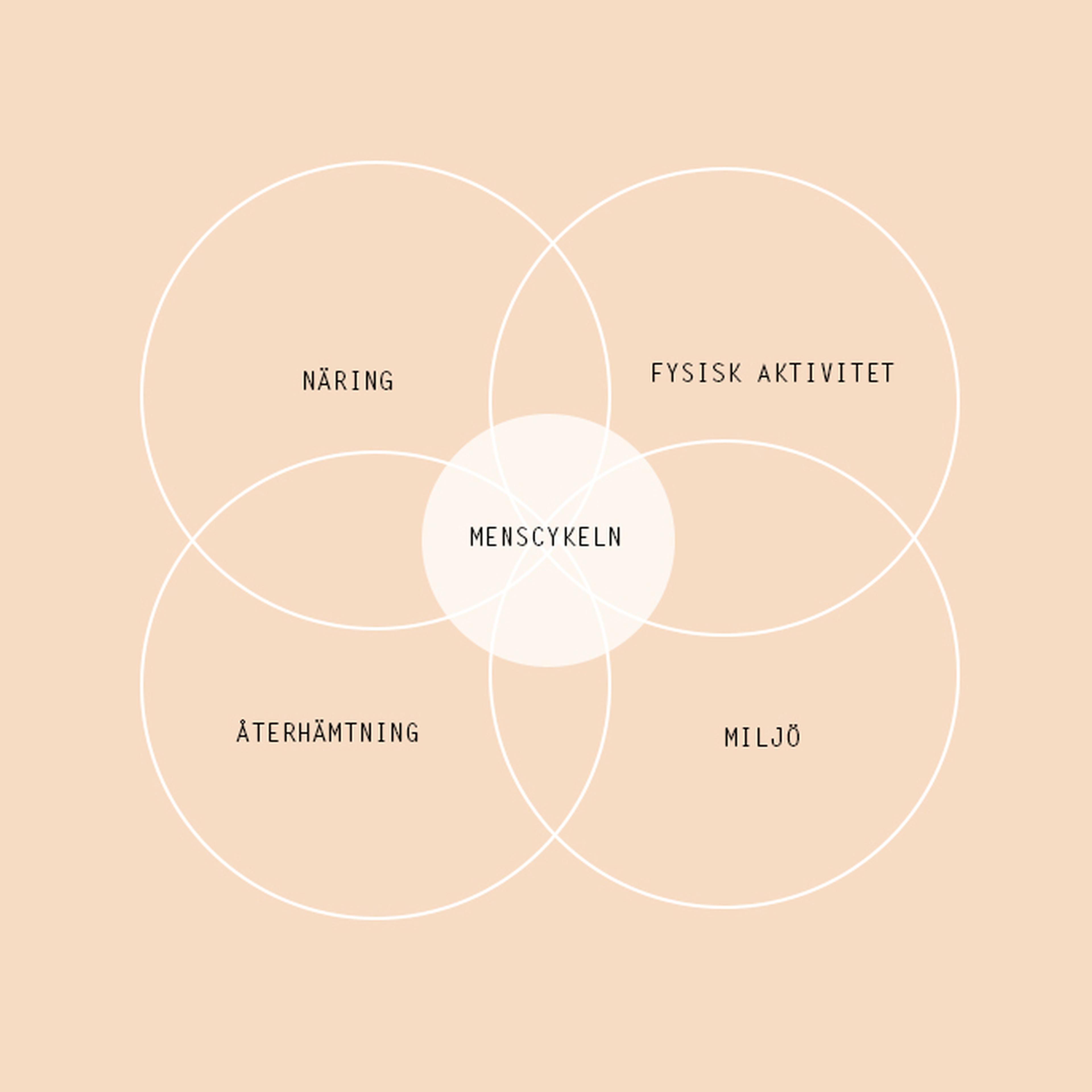 Diagram med menscykeln i mitten kopplad till näring, fysisk aktivitet, återhämtning och miljö