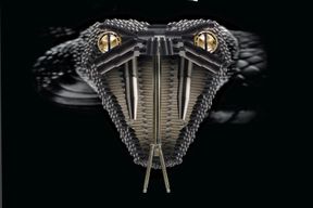 Snake, snake eye screws, security Fasteners