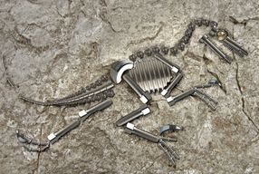 Dinosaur Fossil