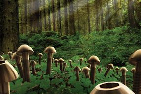 Mushrooms