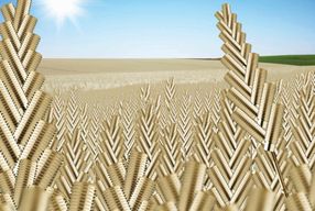 Wheat Fields, agriculture