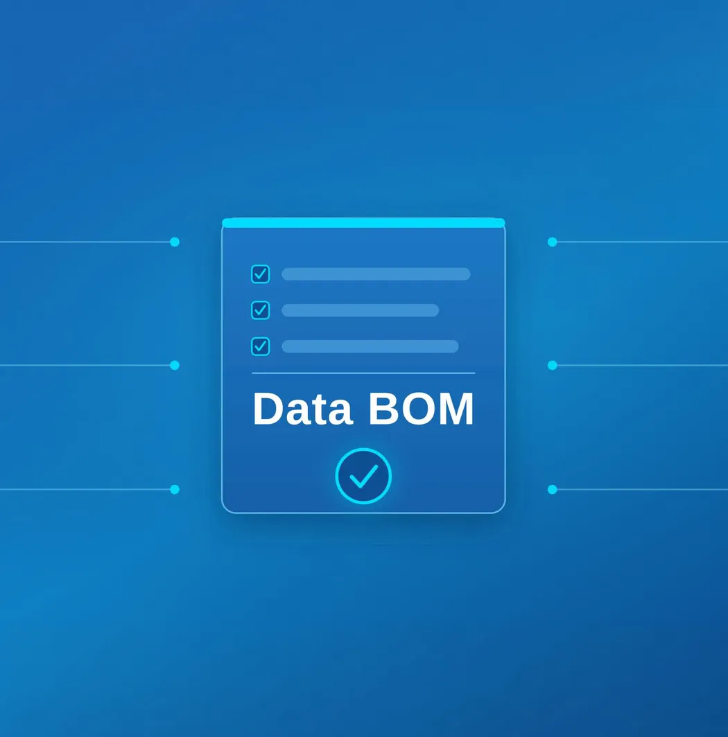 Blue background with a central card titled "Data BOM," showing checkboxes and a checkmark below. Lines extend from the card.