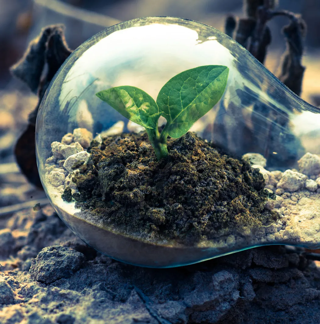 circular economy
