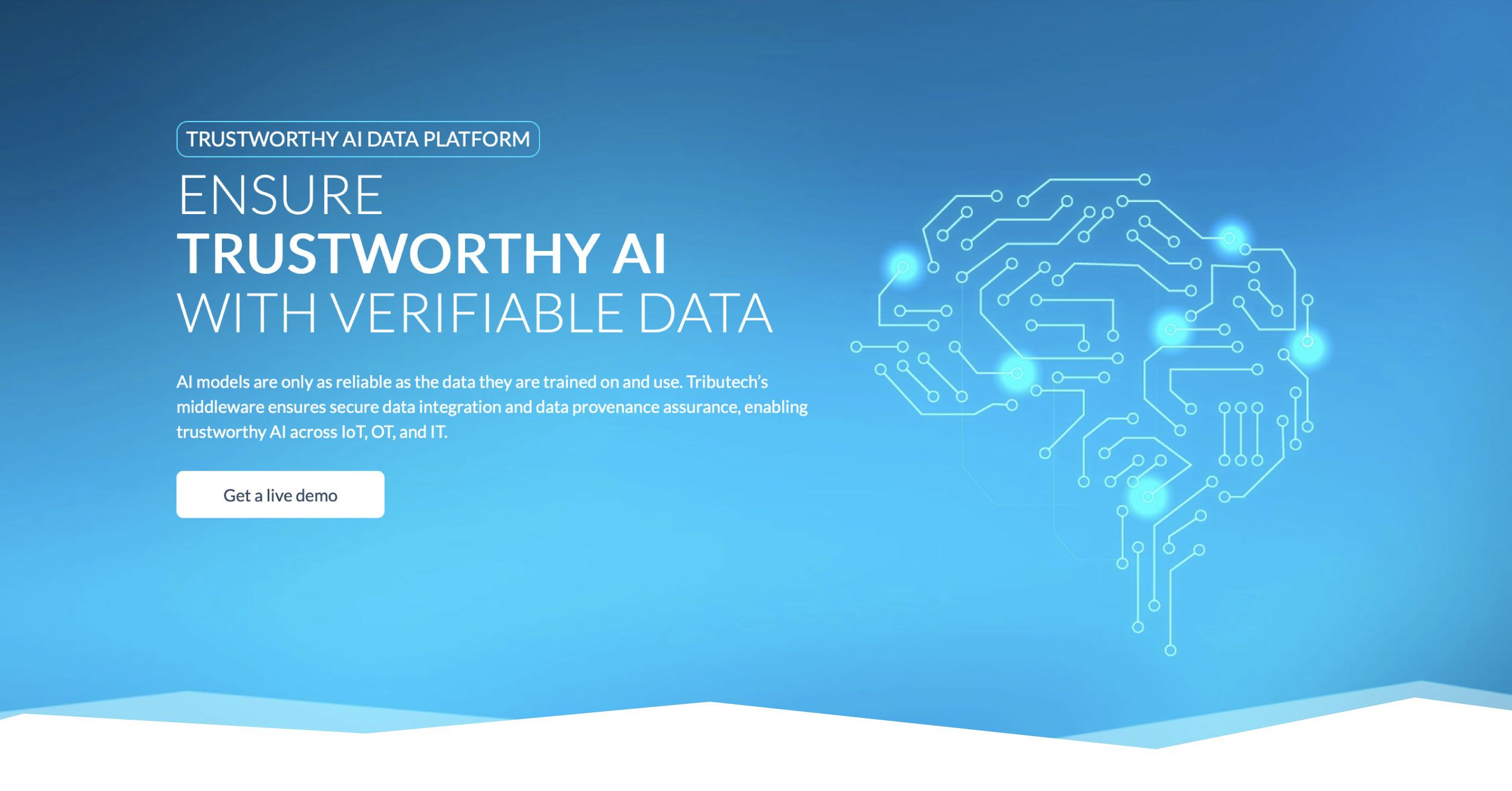 AI Data Platform | Ensure Trustworthy AI with Verifiable Data | Tributech