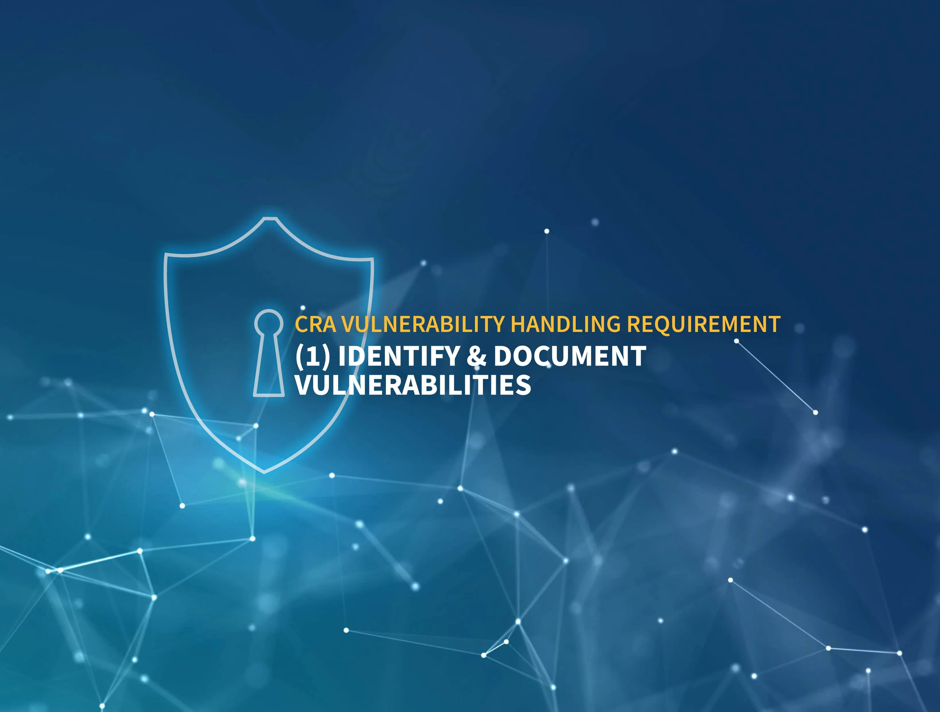CRA Vulnerability Handling Requirement (1)