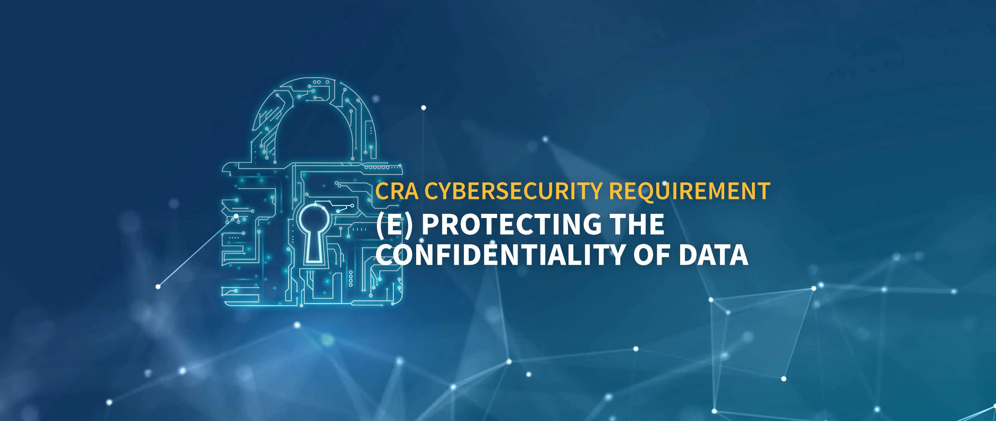 CRA Cybersecurity Requirements (e)
