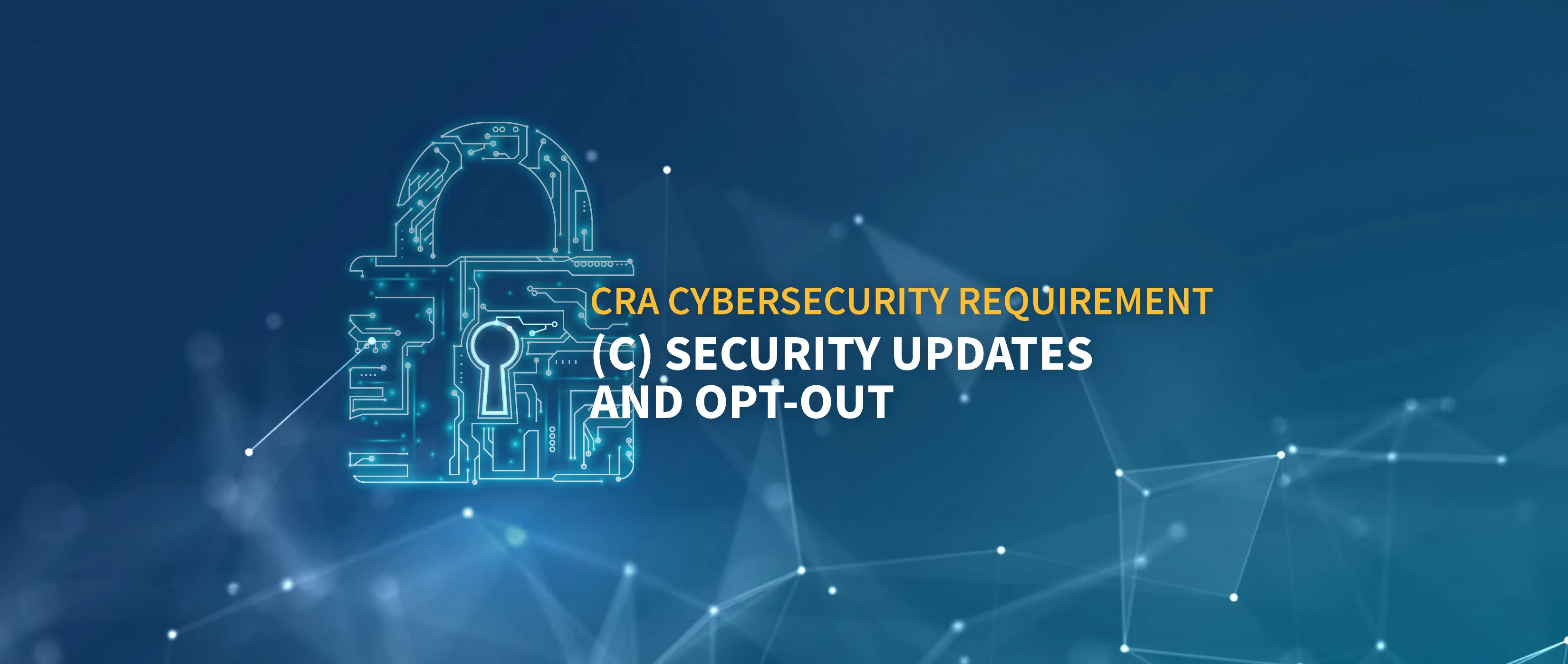 CRA Cybersecurity Requirement (c)