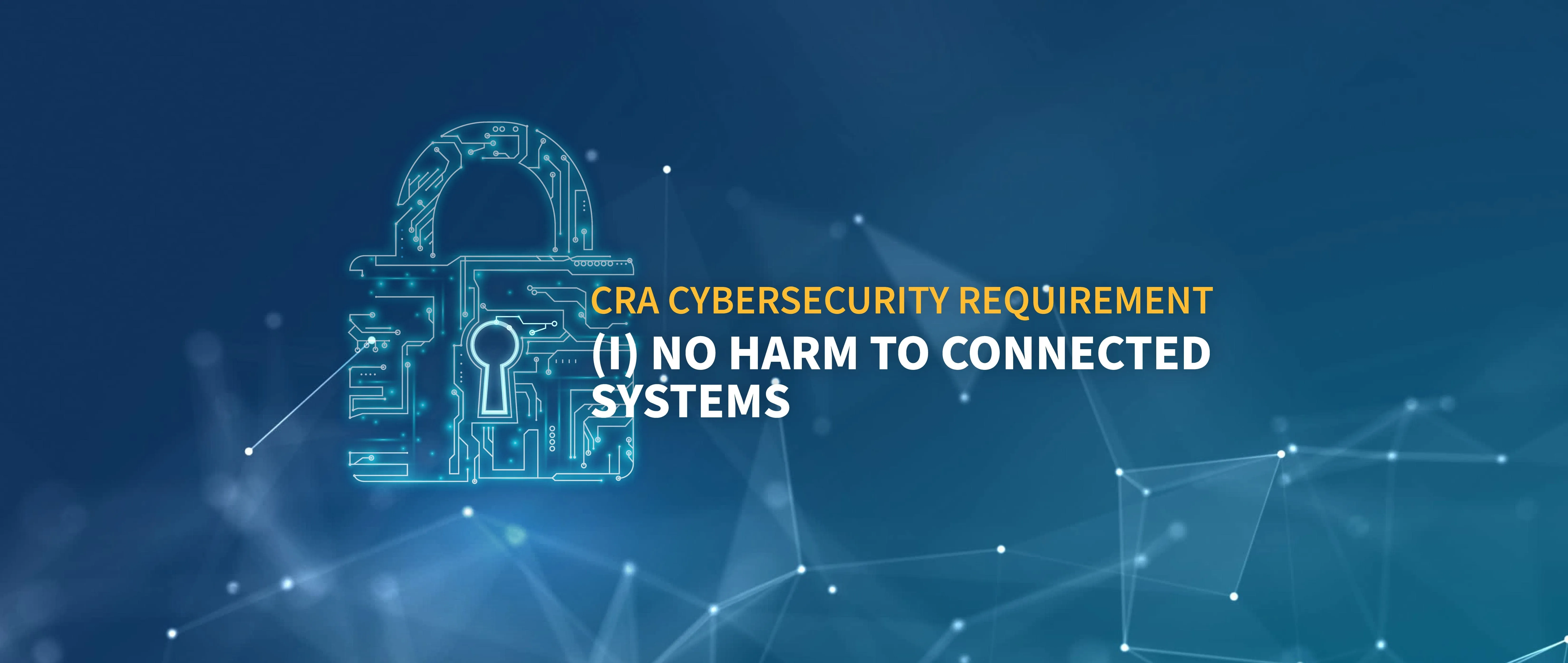 CRA Cybersecurity Requirement (i)