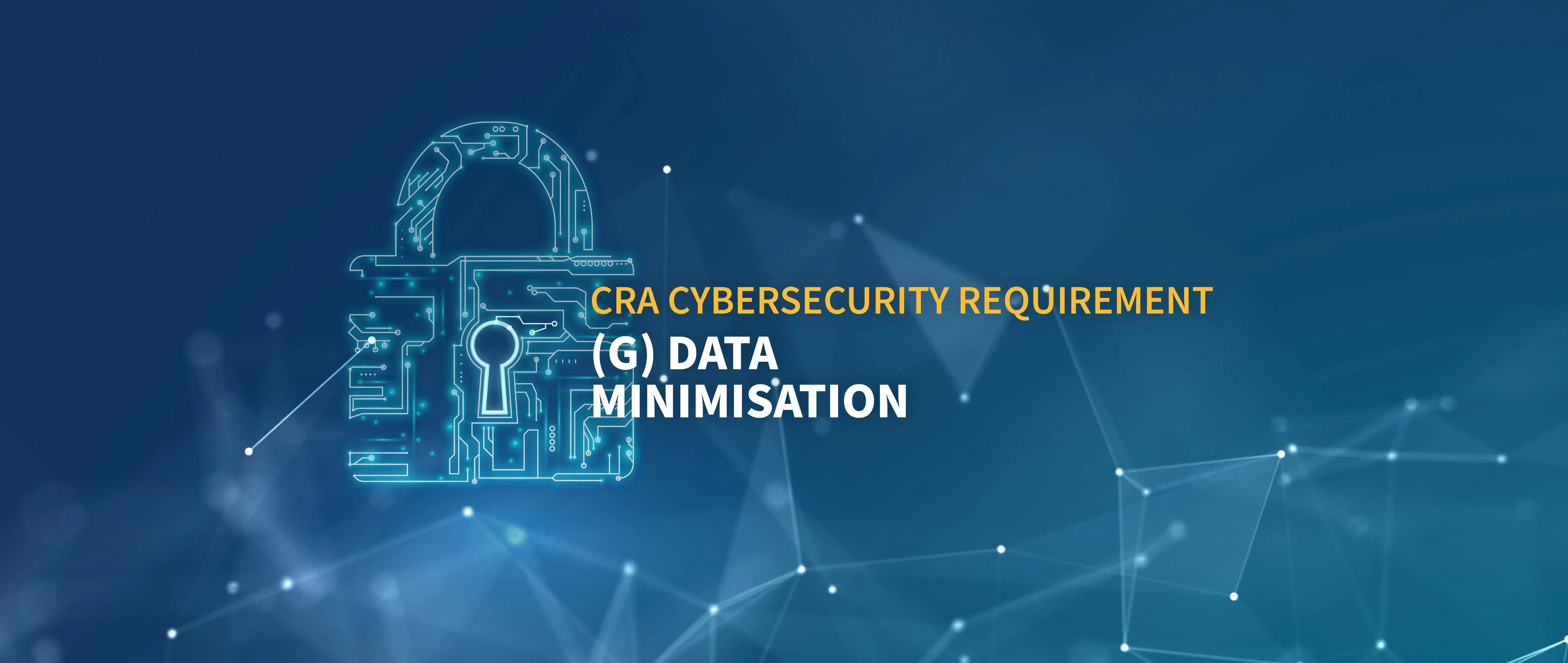 CRA Cybersecurity Requirement (g)