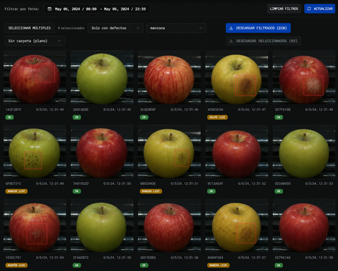 Sistema de visión artificial de Rely identificando y clasificando fruta y verdura en tiempo real
