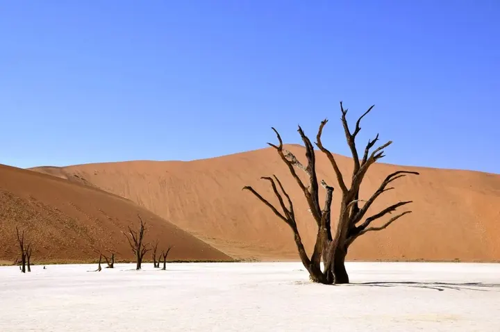 Namibia e Islas Mauricio