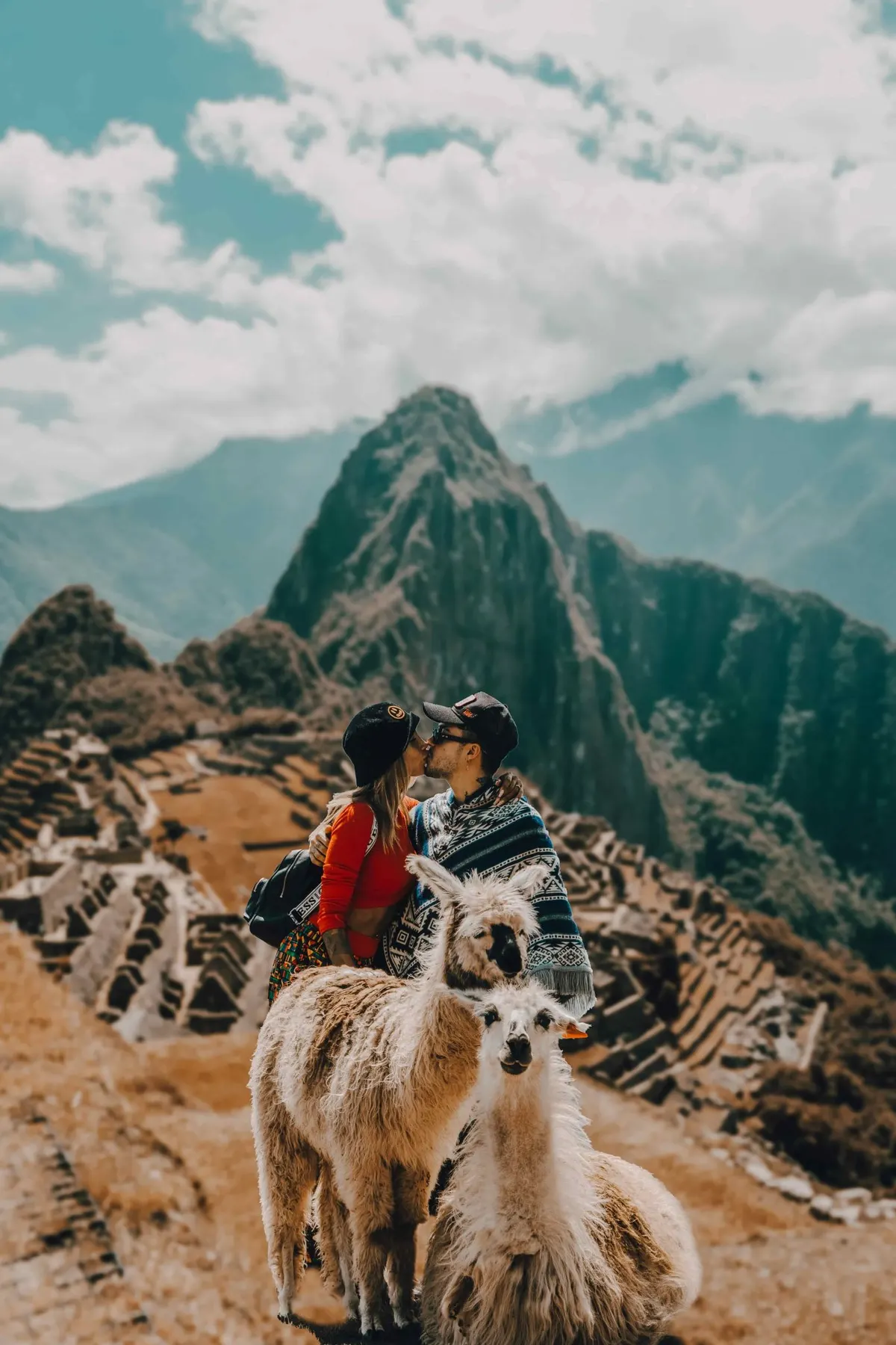Imagen de Libélula Travel