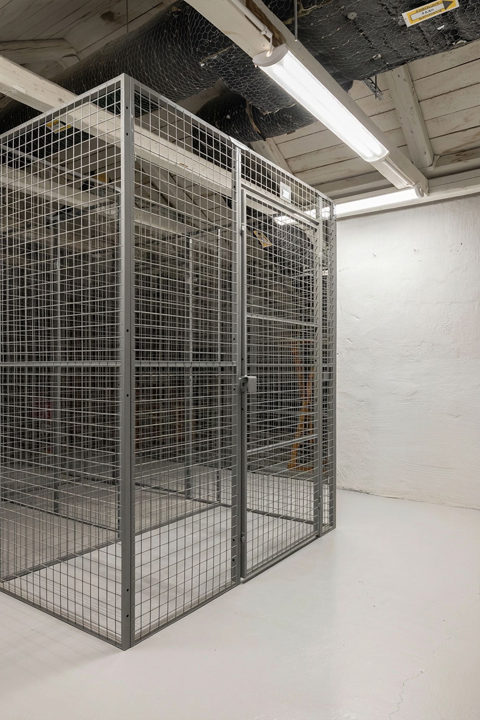 Metallbur i ett källarutrymme med vita väggar och lysrörsbelysning, omgiven av ett stängt tak.